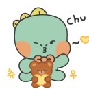 벨리스(bellis) 이미지