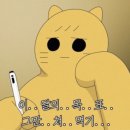 퍼플104마켓