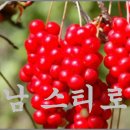 영남스티로폼 이미지