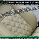 명품크리너