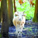 내마음의여행 이미지