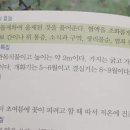 온새미로코스메틱