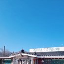 맛고을메밀국수 | 강원도 양양 낙산사 인근 | 메밀꽃향기, 맛있는 막국수의 향연