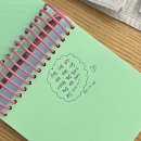 오래오래 기억하고 싶은 부산여행일지🫧 (뚜벅이들을 위한 완벽한 2박3일 일정)