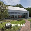 함안 대형카페 숲필(SOOPEEL), 정원이예쁜 베이커리카페 내돈내산 후기