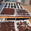 통영의봄민박 이미지