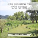 세미원 | 양평 세미원 연꽃축제 후기 7월, 아이와 함께 다녀온 여름 나들이