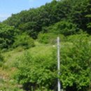 무릉도원면-22 이미지