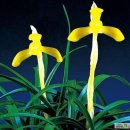 수천농장 이미지