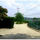 일석농장 이미지