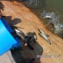 노지하우스 이미지