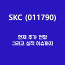 <b>SKC</b> (<b>011790</b>) 주가, 실적, 전망, 기업분석