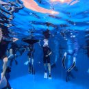 성남종합운동장 소담사랑방 | 프리다이빙 체험 후기 애프터스윔 수영팀과 함께한 물속 힐링 시간