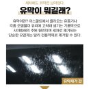 카앤스팀 이미지