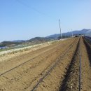 입석농장 이미지