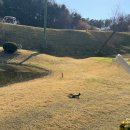 시그너스클럽하우스 | 시그너스CC 실크코스 라미코스 라운딩 난이도 솔릭 리뷰(락커 사용법 까쥐~)