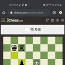 킹마춤 이미지