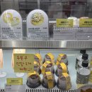 신은다방 | 빽다방 두쫀쿠 출시 가격 칼로리 내돈내산 후기 (말차맛 두쫀쿠? 밤티 두쫀쿠?)