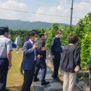 강진도깨비농장 이미지