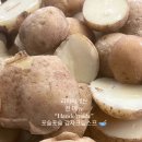 피자파자 이미지