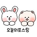 비유어페이보릿