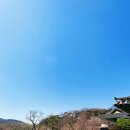 2020 Apr 1.6 자연스러움의 미를 느끼게한 서산 개심사