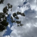 여성의집 | 30대 INFJ 여성의 직접 겪은 소개팅 후기와 짧은 고찰 EP6. 슬픈 예감은 🥲