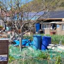 외양포해변 이미지