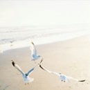 신생교회 앞 이미지