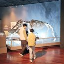 밀양시립박물관 | 밀양 아이와 갈만한 실내 관람 밀양시립 박물관