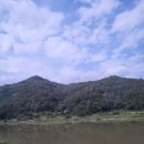 충남 가볼만한곳 금산 여행 코스로 추천 / 인삼약초시장, 금산인삼관, 금산삼계탕축제, 하늘물빛정원
