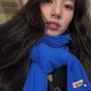 스튜디오 베스트 | 🍂 아크네 스튜디오 목도리 &amp; 던스트 베스트 후기 💙