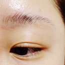 킴스뷰티헤어 | 브로우리프트펌 없이 가능한 브로우마스터왁스, 잔머리고정에도 OK