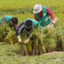 용동1리 이미지