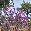 보리섬(保理島: 고성) 이미지