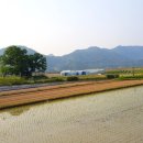 신목농장 이미지