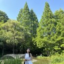 진성여관 이미지