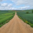 동일진단 이미지