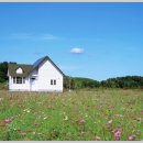 주택 앞 이미지