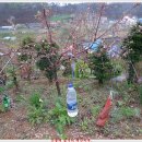 수형농장 이미지