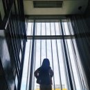 (버스)참이슬아파트.동일공고 | 아이와 다녀온 싱가포르 여행기 3, 드디어 만난 머라이언 그리고 송파바쿠테 본점 (+지출 기록)