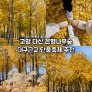 낙동강관리본부 맥도생태공원 5 | 고령 다산 은행나무숲 대구근교 단풍축제 추천