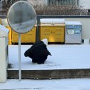 오여진족구이 언양점 | [일상] 2월 이야기.*¨*•.¸¸♪