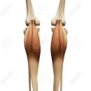 우성사우나 이미지