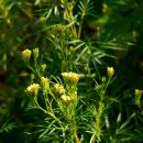 대안마을 이미지