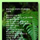 풀잎끼리도 사랑하니까 흔들린다 - 김종해 이미지