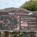 명동2낙차공 | [등린이] 진달래꽃이 이쁜, 거제 대금산 등산 후기