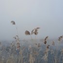 하얀여울 이미지