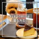 룩스커피 | 광주 서구 풍암동 분위기 좋은 애견동반카페 룩스커피