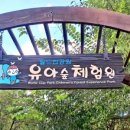 여의도유아숲